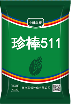 珍棒511